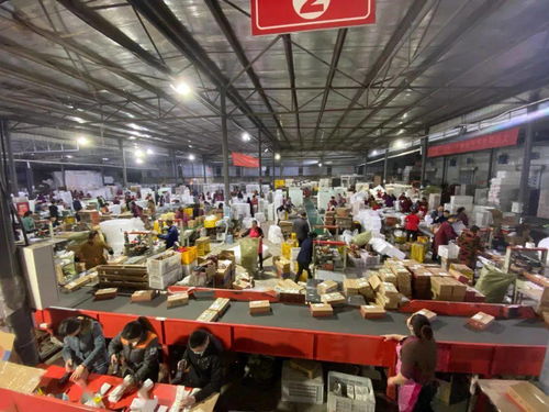 天猫双11点亮蒲江 水果客服的千人咨询战役